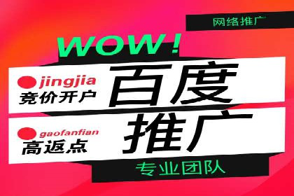 案例解析：百度推广排名提升的实战技巧
